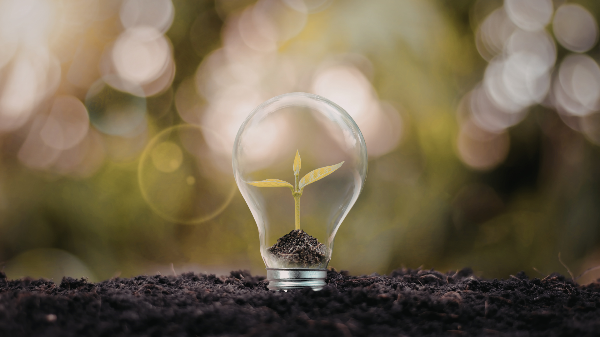 Sustainability